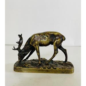 Bronze Stag